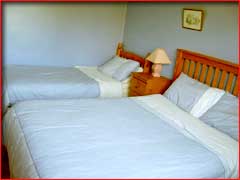 Bedroom 3 - Family Room